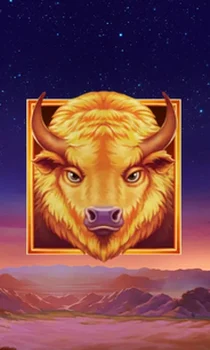 Buffalo's Sun 2